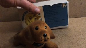 Собака качает головой