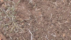 ЗА КАМНЕМ ПОЛЯ ЮЖАКОВСКИЕ