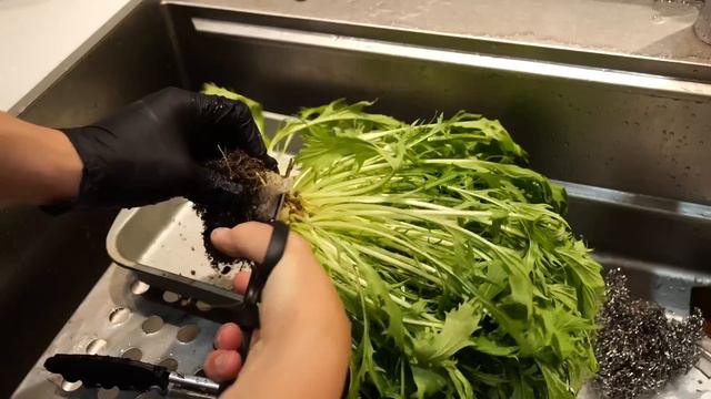 取り尽くされた潮干狩り場行ったら、ヤバすぎた。