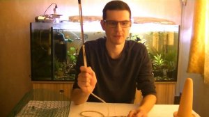 Уход за мальком Дискусов. Нерестовик.