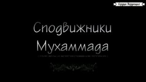 Истории сподвижников Зайд аль Хайр