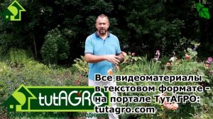 ОДНА ЛОЖКА - и САД и ОГОРОД в ПОЛНОМ ПОРЯДКЕ! Чем заменить дорогостоящие и вредные средства.