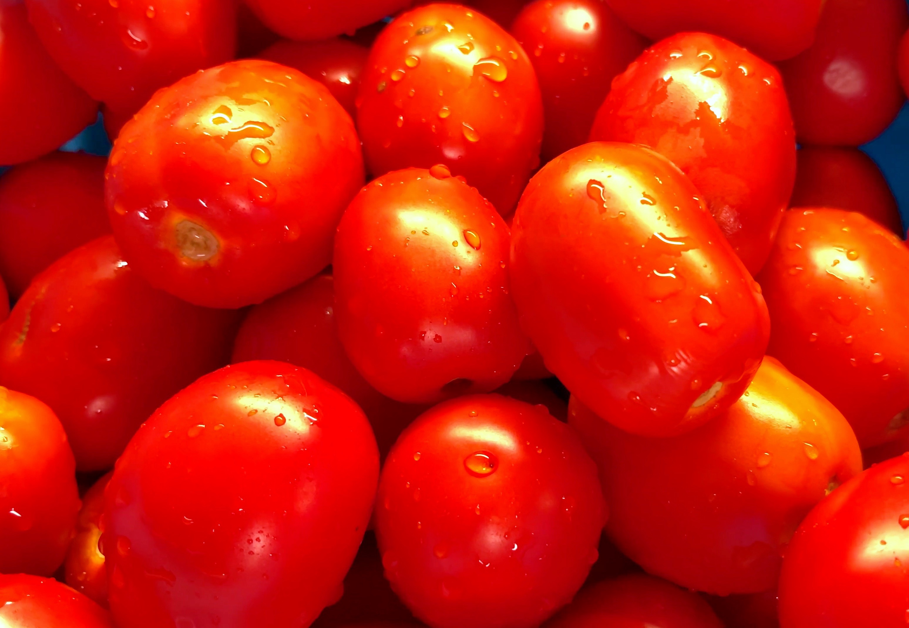 помидоры на зиму с раст маслом фото 103