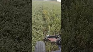 самодельный  мини трактор с косилкой от мотоблока