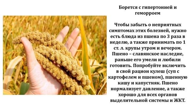 Одна из самых полезных круп В МИРЕ...❗
