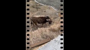 Агата Муцениеце сторис 09.04.2022