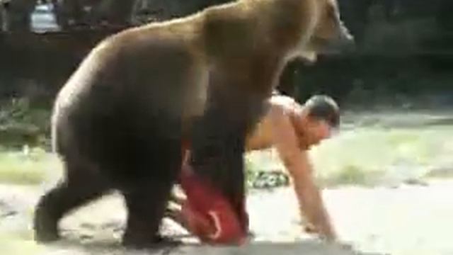 Игра с медведем.flv смотреть онлайн