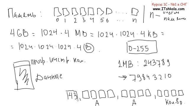 №4 Информация и числа в компьютере К слову Часть 1 Бухгалтерия курс Курсы web программирования смотреть онлайн