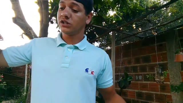 Cultivo de phalaenopsis смотреть онлайн