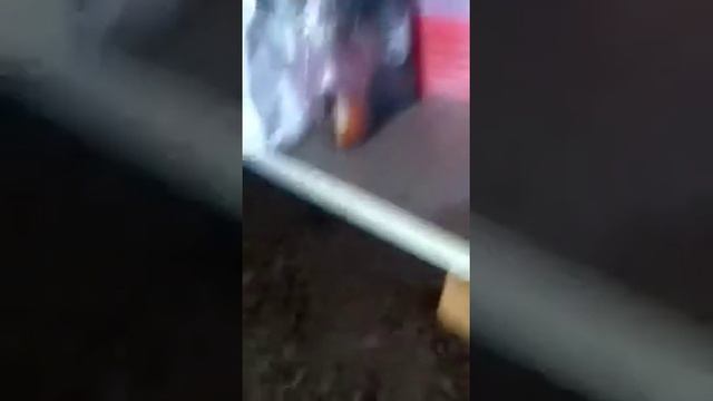 Святая вода смотреть онлайн