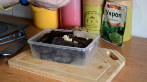 Гренки к пиву, чесночные