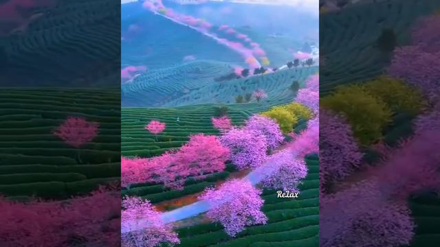 Мама- это человек, который может заменить всех, но ее ни кто и никогда заменить не сможет.. смотреть онлайн