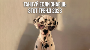 Танцуй Если Знаешь Этот Тренд 2023 / Тик Ток Тренды