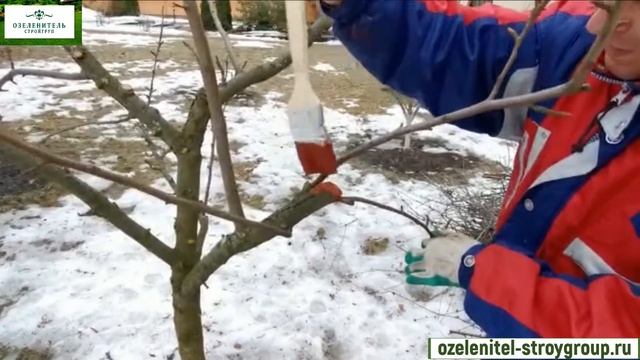 Обрезка деревьев и кустарников смотреть онлайн