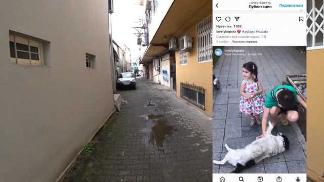 Уличная собака, которую узнал ВЕСЬ МИР | Батуми Грузия ?? смотреть онлайн