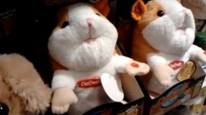 Толстый жирный хомяк. Прикол.