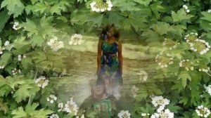 Задорная, белорусская народная песня "А Я ЧАРНЯВА..."  ИРЕНА ШЕМИС (баян).