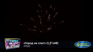 Купить салют, фейерверк в Самаре "ГОРОД НЕ СПИТ" 48 залпов 1"