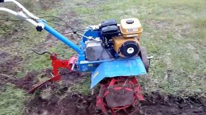 Мотоблок нева.вспашка плугом.