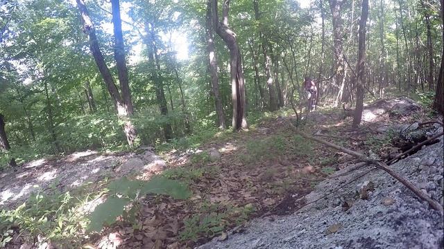 Gravel Bike on Mountain Bike Trails - Jamis Renegade E29:S2 смотреть онлайн