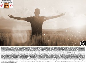 Животное, Человеческое или Божественное