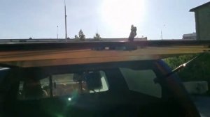 Задняя дверь на кунг Road Ranger  VW Amarok