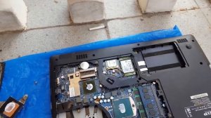 Тараканы в ноутбуке (cockroaches in laptop)