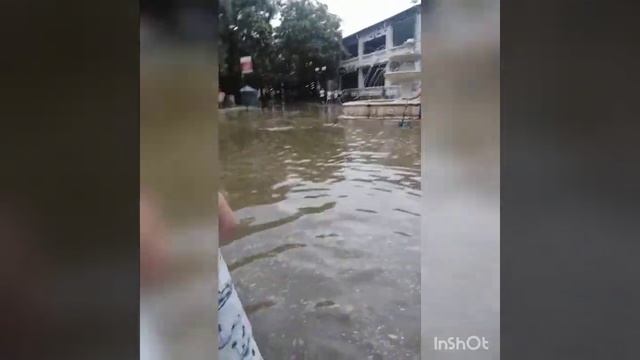 я хожу по лужам мне никто не нужен??? смотреть онлайн