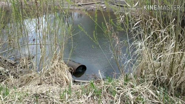 Почистил протоку и заработал! смотреть онлайн