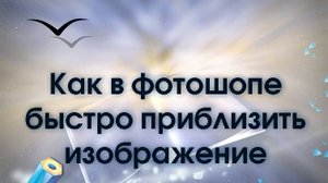 Как в фотошопе приблизить изображение