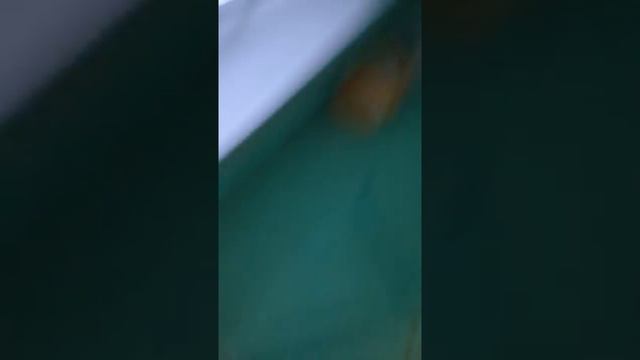 Хочешь жениться? Посмотри и подумай... смотреть онлайн