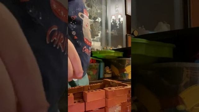 дом из кирпичей ??