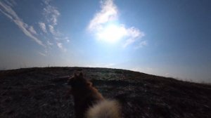 В горах мысли чище, Люди добрее - если ты #Мачете ( Лови момент)