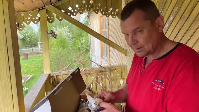 Новая хозяйка дачи приехала!