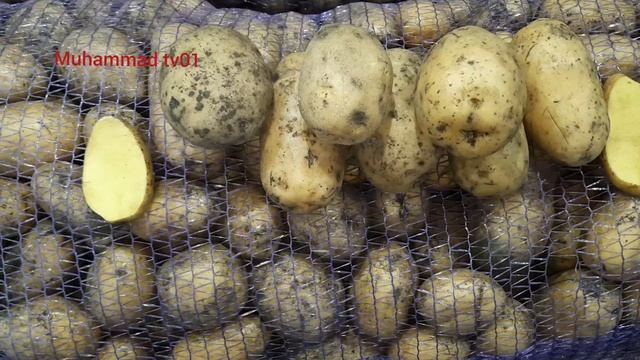 МОСКВА фуд сити 26 февраля 2022г ????? смотреть онлайн