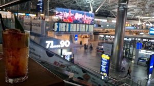 КАК ЛЕТЕТЬ С СОБАКОЙ В САМОЛЕТЕ В ТУРЦИЮ???| Влог КАК моя СОБАКА ПЕРЕНЕСЛА ПОЛЁТ??