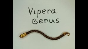 Vipera Berus простой способ плетения для новичков. Красивый кольчужный браслет своими руками.