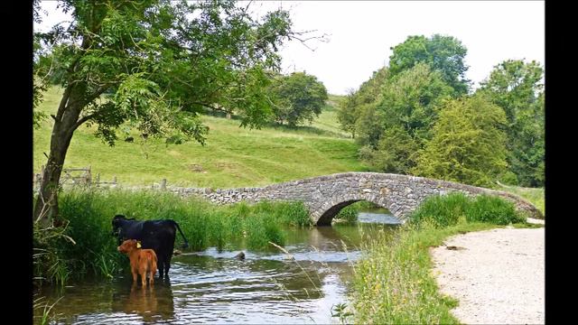 📗📖Истинного Я Нет. Роберт АДАМС📖📗Как ПОНЯТЬ МИР? #Аудиокнига смотреть онлайн