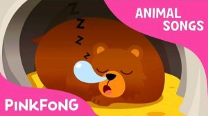 Hibernation Song | Animal Songs | PINKFONG Songs for Children