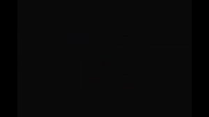 Wcmv «охота за лисой» (ЧИТАЕМ ОПИСАНИЕ!!!!!)🌺