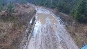 Покатушки на Ниве, обновленная нива 21213,лес и немного грязи