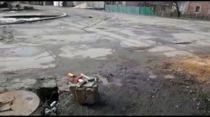 Абрикос - как снизить  крону.Чем и как делать кербовку.