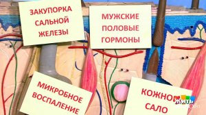 Препараты от угревой болезни. Жить здорово! Фрагмент выпуска от 17.01.2017