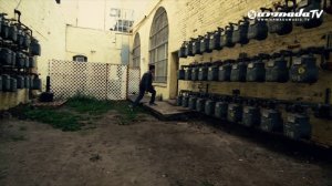 Cerf, Mitiska & Jaren with Rank 1   Witness 1080p