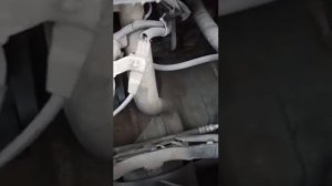 Осмотр под капотом Шевроле Лачетти 1,6.