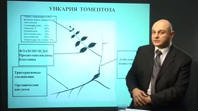 Высокий иммунитет и детоксикация печени - DETOX!