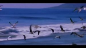 АРАМ АСАТРЯН. ЕС СИРУМ ЭМ КЕЗ (Я ЛЮБЛЮ ТЕБЯ)