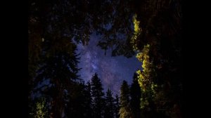 Ю. В. Шатунов "А ночь темна". (неизданная песня, мой фото клип)