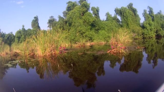 на каное в Шри Ланке смотреть онлайн