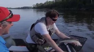 Рибалка судакы в реке